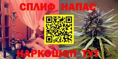 МДПВ Гатчина