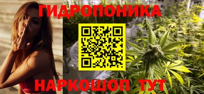 МДПВ Гатчина