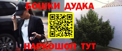 МДПВ Гатчина