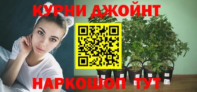 МДПВ Гатчина
