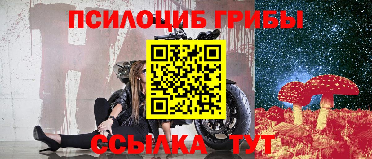 Псилоцибиновые грибы MAGIC MUSHROOMS Киров